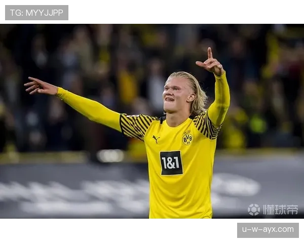 博阿转会策略深度解析：精明布局助力球队未来腾飞