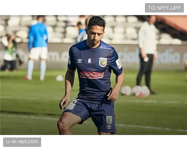 主队强势连胜，稳居榜首彰显绝对统治力